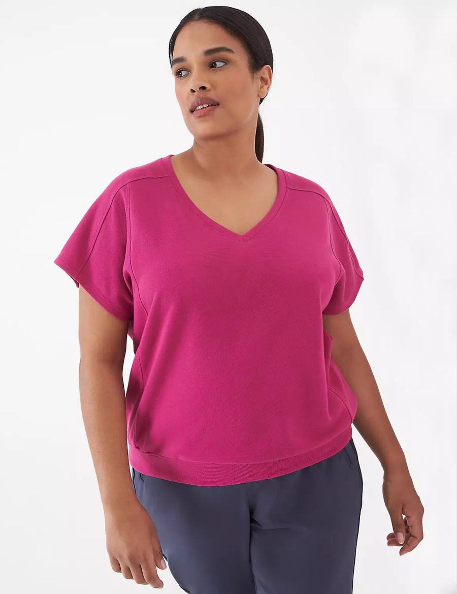 Women Lane Bryant LIVI French Terry Short-Sleeve Sweatshirts Fuchsia | AJV4217EY