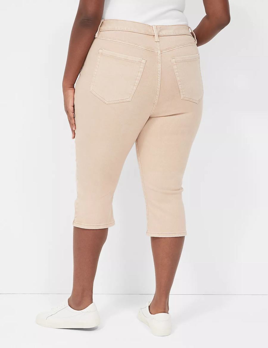 Women Lane Bryant Signature Fit High-Rise Color Pedal Jeans Brown | WHY6613GA